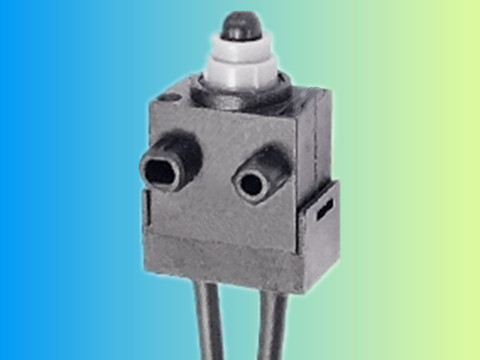 带线型 Switch with leads