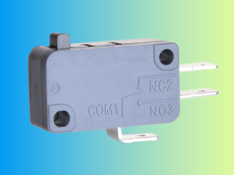 Switch with Pin Plunger