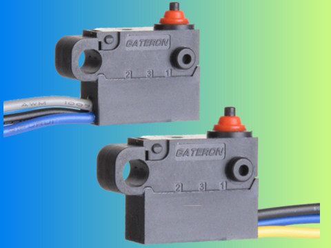 MS-3E/G/F switch with leads