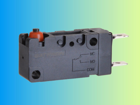 Switch with Pin Plunger