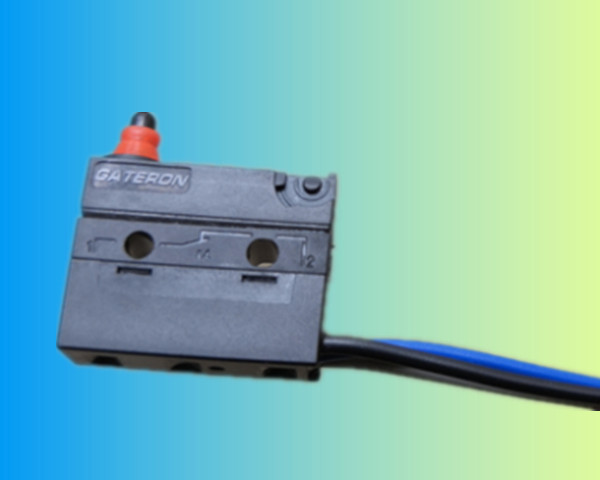 Switch with Wire Leads