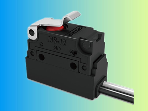 Wire Leads Type MS-12