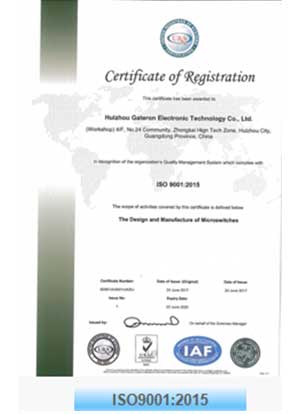 ISO9001